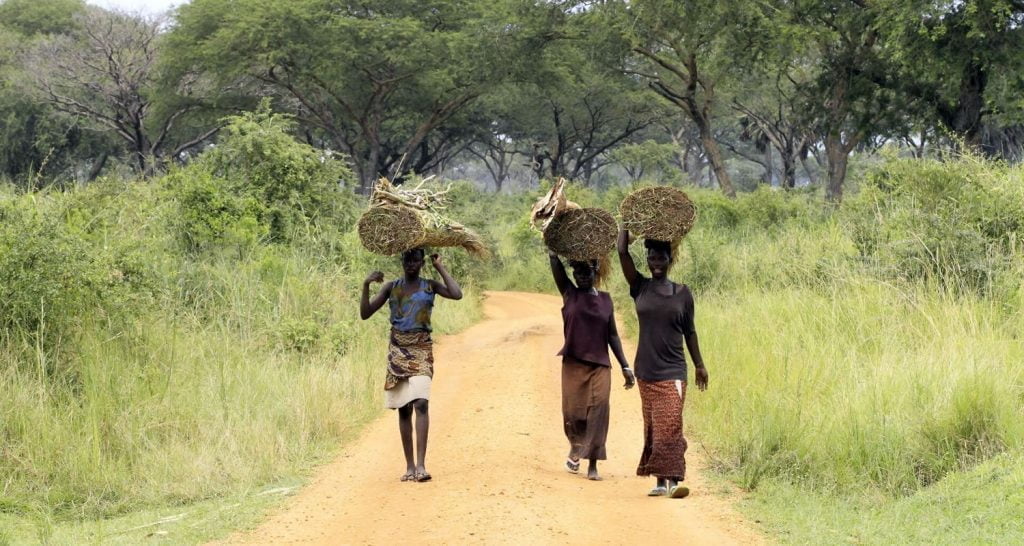 International Development